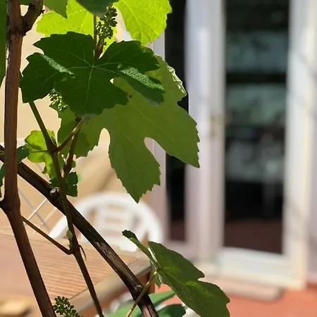 Geoglobe D'hotes Gasthof