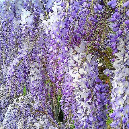 Geoglobe D'hotes Gasthof 3*