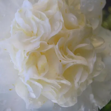 Gasthof Geoglobe D'hotes Pisa