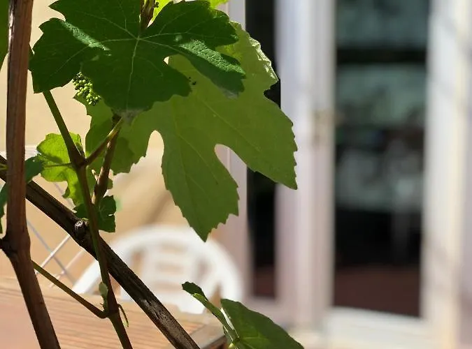 Geoglobe D'hotes Gasthof